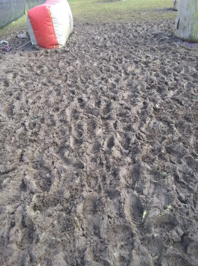 20190503_180835_resized